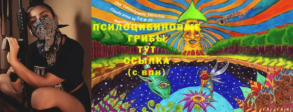 кокс Покачи