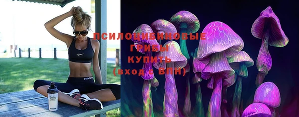 спиды Покров