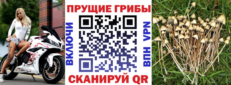Купить закладки  Магнитогорск  Галлюциногенные грибы прущие грибы 