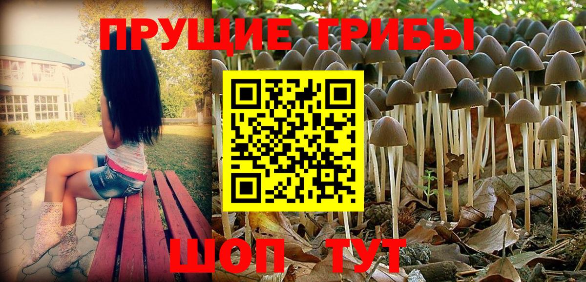 наркотики  Галлюциногенные грибы Cubensis  Вход с VPN  Псилоцибиновые грибы MAGIC MUSHROOMS  Магнитогорск 